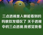 三点透视是人眼能看到的吗貌似发错区了 关于透视中的三点透视.我感觉我看