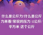 什么是公斤力?什么是公斤力来着?常说的压力 12公斤/平方米 这个公斤