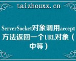 SeveSocke对象调用accep方法返回一个URL对象（中等）