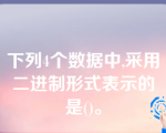 下列4个数据中,采用二进制形式表示的是()。