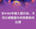 在WORD中插入图片后，不可以调整图片的亮度和对比度