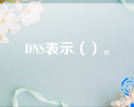 DNS表示（）。