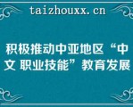 积极推动中亚地区“中文 职业技能”教育发展