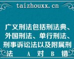 广义刑法包括刑法典、外国刑法、单行刑法、刑事诉讼法以及附属刑法		A	对	B	错