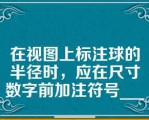 在视图上标注球的半径时，应在尺寸数字前加注符号________