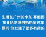 生活在广州的小东 寒假回东北哈尔溟的奶奶家过车期间 他发现了很多有趣的