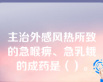 主治外感风热所致的急喉痹、急乳蛾的成药是（）。