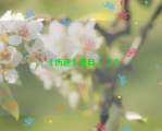 《伤逝》选自（ ）？