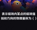 表示磁场内某点的磁场强弱和方向的物理量称为（）