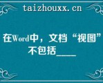 在Word中，文档“视图”不包括____