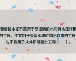 硅酸盐水泥不宜用于受流动的水和有水压作用的工程，不宜用于受海水和矿物水作用的工程，也不宜用于大体积混凝土工程（     ）。