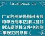 广义的刑法是指刑法典和单行刑事法律以及非刑法规范性文件中的刑事规范的总称（　　）