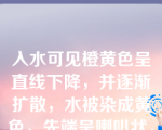 入水可见橙黄色呈直线下降，并逐渐扩散，水被染成黄色，先端呈喇叭状，内侧有一短缝的是