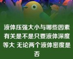 液体压强大小与哪些因素有关是不是只要液体深度等大 无论两个液体密度是否