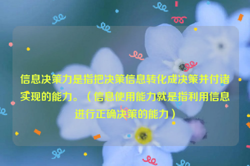 信息决策力是指把决策信息转化成决策并付诸实现的能力。（信息使用能力就是指利用信息进行正确决策的能力）