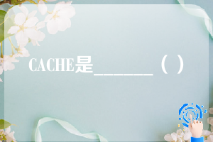 CACHE是______（）