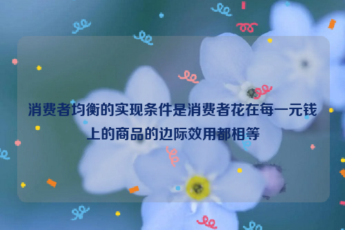 消费者均衡的实现条件是消费者花在每一元钱上的商品的边际效用都相等