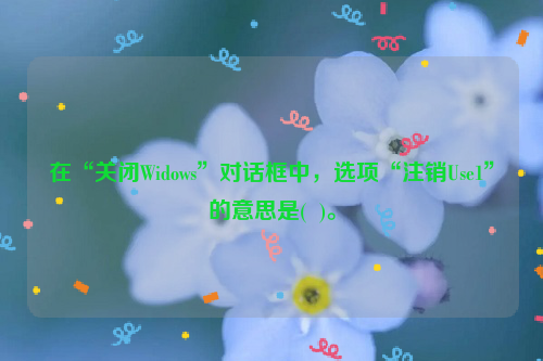 在“关闭Widows”对话框中，选项“注销Use1”的意思是(  )。