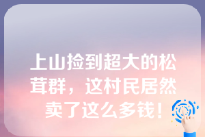 上山捡到超大的松茸群，这村民居然卖了这么多钱！