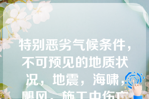 特别恶劣气候条件，不可预见的地质状况，地震，海啸，飓风，施工中伤亡事故被简称为（）