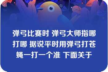 弹弓比赛时 弹弓大师指哪打哪 据说平时用弹弓打苍蝇一打一个准 下面关于