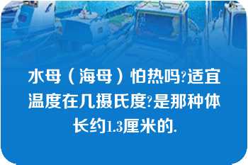 水母（海母）怕热吗?适宜温度在几摄氏度?是那种体长约1.3厘米的.