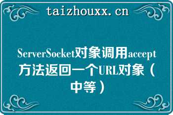 ServerSocket对象调用accept方法返回一个URL对象（中等）