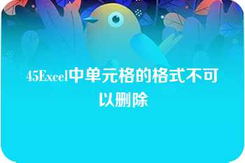 45Excel中单元格的格式不可以删除