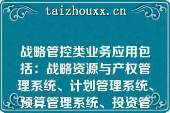 战略管控类业务应用包括：战略资源与产权管理系统、计划管理系统、预算管理系统、投资管理系统、审计管理系统、党建管理系统、干部管理系