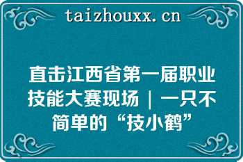 直击江西省第一届职业技能大赛现场 | 一只不简单的“技小鹤”