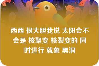 西西 很大胆我说 太阳会不会是 核聚变 核裂变的 同时进行 就象 黑洞