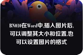 BN010在Word中,插入图片后,可以调整其大小和位置,也可以设置图片的格式