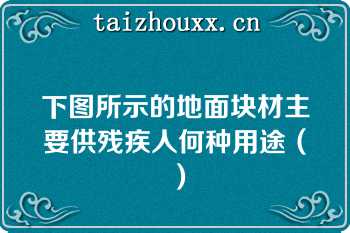 下图所示的地面块材主要供残疾人何种用途（）