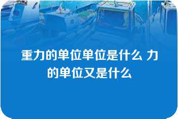 重力的单位单位是什么 力的单位又是什么