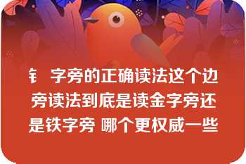 钅 字旁的正确读法这个边旁读法到底是读金字旁还是铁字旁 哪个更权威一些