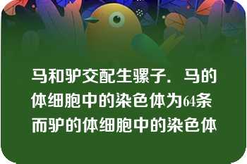 马和驴交配生骡子．马的体细胞中的染色体为64条 而驴的体细胞中的染色体