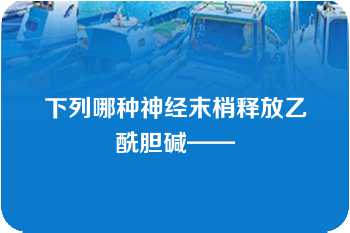 下列哪种神经末梢释放乙酰胆碱——