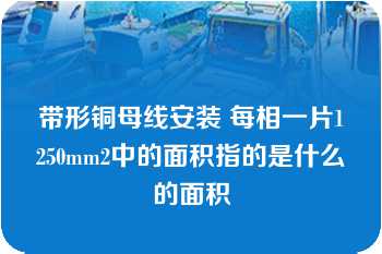 带形铜母线安装 每相一片1250mm2中的面积指的是什么的面积