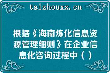 根据《海南炼化信息资源管理细则》在企业信息化咨询过程中（）