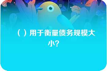 （）用于衡量债务规模大小？