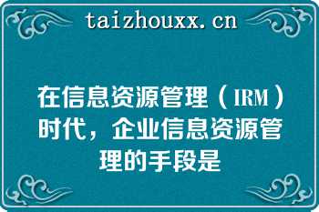 在信息资源管理（IRM）时代，企业信息资源管理的手段是