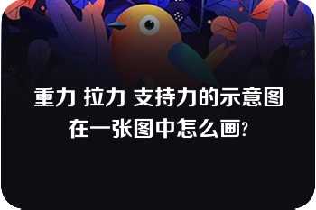 重力 拉力 支持力的示意图在一张图中怎么画?