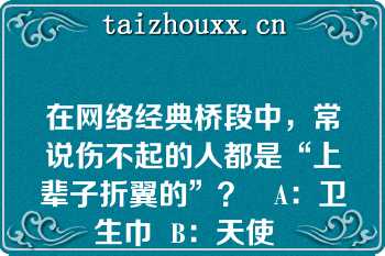 在网络经典桥段中，常说伤不起的人都是“上辈子折翼的”？   A：卫生巾  B：天使  