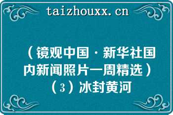 （镜观中国·新华社国内新闻照片一周精选）（3）冰封黄河