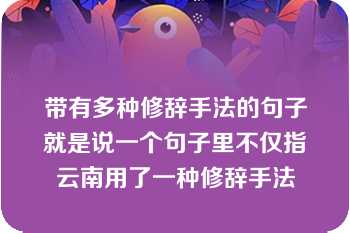 带有多种修辞手法的句子就是说一个句子里不仅指云南用了一种修辞手法