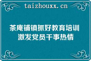 茶庵铺镇抓好教育培训 激发党员干事热情