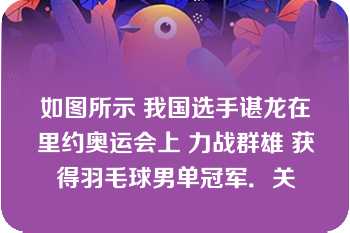 如图所示 我国选手谌龙在里约奥运会上 力战群雄 获得羽毛球男单冠军．关