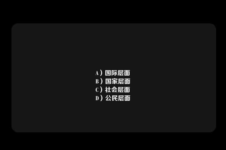 A）国际层面
B）国家层面
C）社会层面
D）公民层面