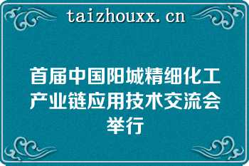 首届中国阳城精细化工产业链应用技术交流会举行