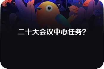 二十大会议中心任务？